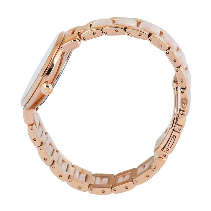 Jam Tangan Alexandre Christie Passion AC 2A56 BFBRGRGPN Women Gold Dial Dual Tone Stainless Steel Strap