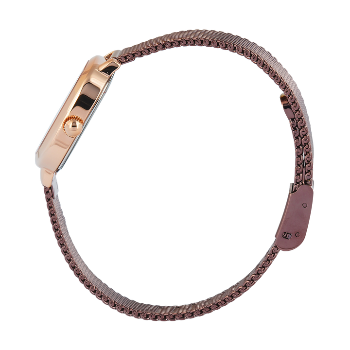 Jam Tangan Alexandre Christie AC 2B40 LHBROBO Sapphire Women Brown Dial Brown Mesh Stainless Steel Strap