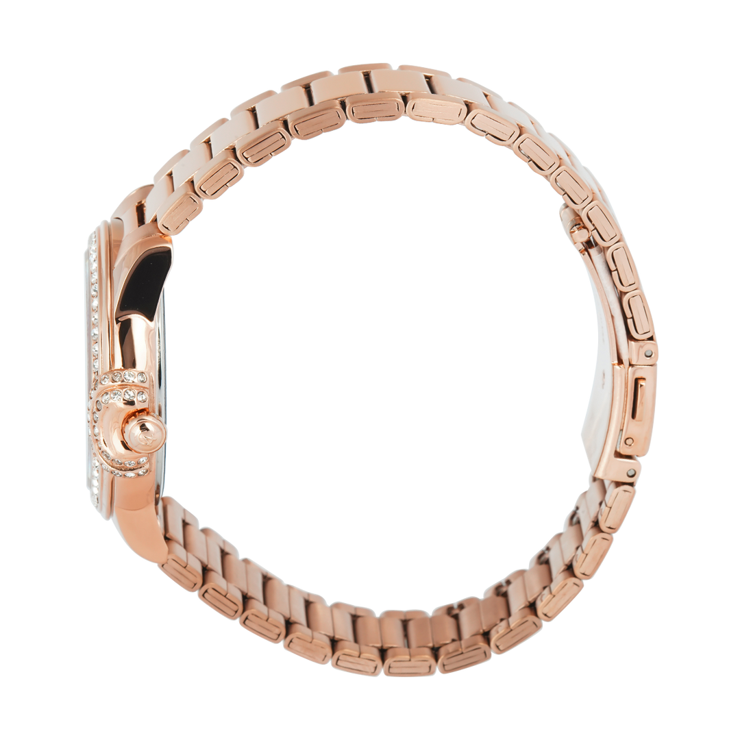 Jam Tangan Alexandre Christie Passion AC 2C13 BFFRGGR Women Gray Dial Rose Gold Stainless Steel Strap