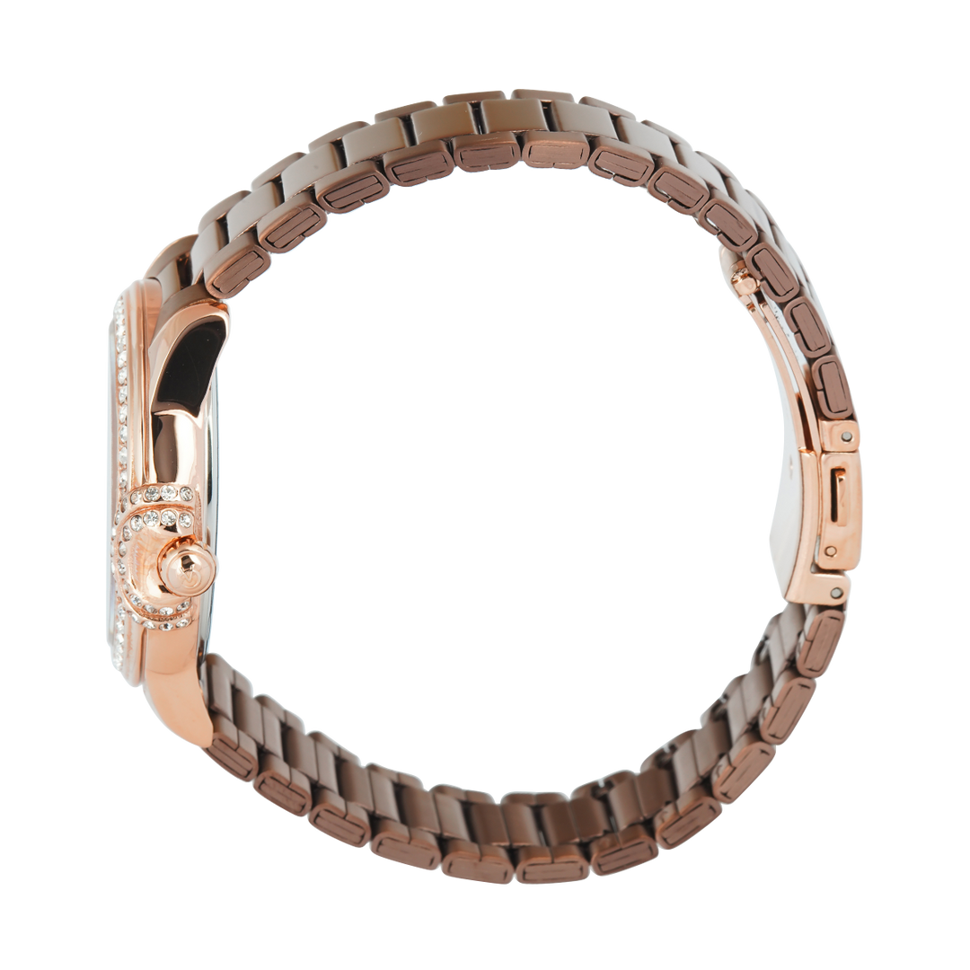 Jam Tangan Alexandre Christie Passion AC 2C13 BFFROBO Women Brown Dial Brown Stainless Steel Strap