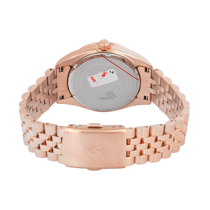 Jam Tangan Alexandre Christie Passion AC 5013 MDBRGLNRG Sapphire Men Rose Gold Motif Dial Rose Gold Stainless Steel Strap