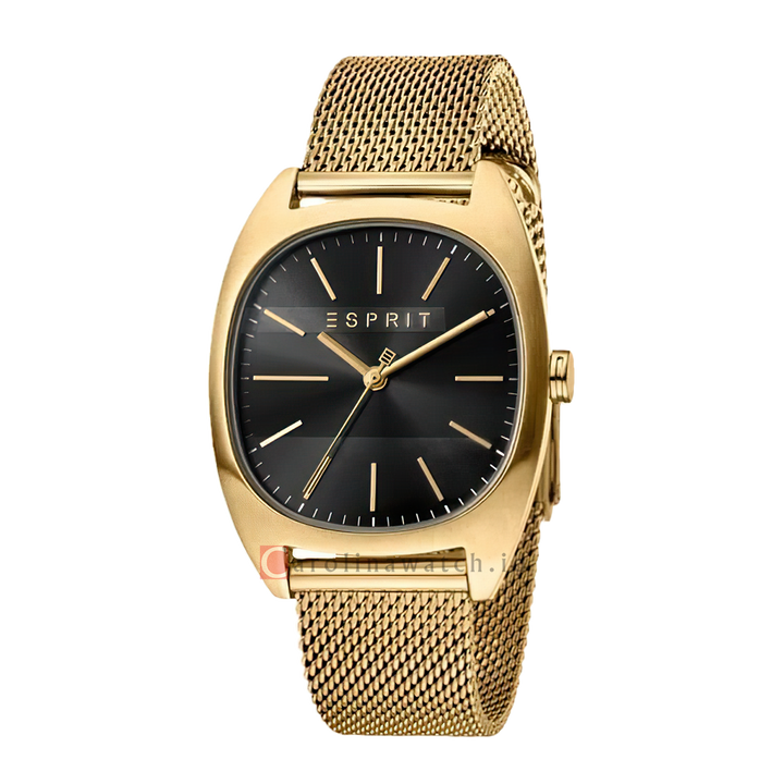 Jam Tangan ESPRIT ES1G038M0085 Men Black Dial Gold Stainless Steel Strap
