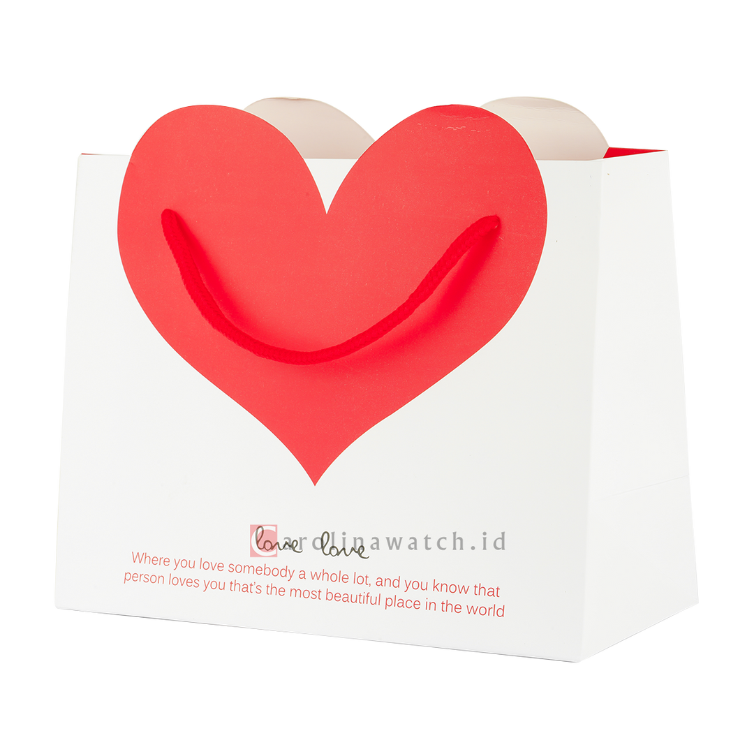 Love Paper Bag Carolina Limited Edition Paperbag Gift INSTANT/SAMEDAY ONLY